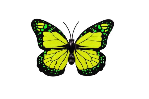 黄色の蝶の白い背景の上のビューに孤立した デザインの要素として緑の斑点を持つ黄色の蝶 — ストック写真