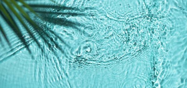 Вода Фон Пальмовым Листом Вид Сверху Тропический Летний Фон Дизайна — стоковое фото