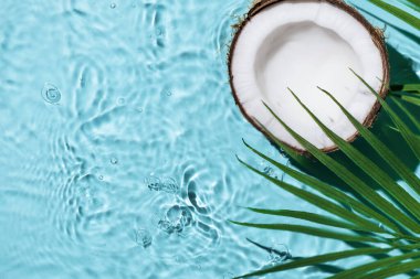 Hindistan cevizli yaz arkaplanı ve su sıçramaları. Tasarım için yaratıcı bir yaz geçmişi. Hindistan cevizi kozmetikleri.