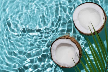 Hindistan cevizli yaz arkaplanı ve su sıçramaları. Tasarım için yaratıcı bir yaz geçmişi. Hindistan cevizi kozmetikleri.