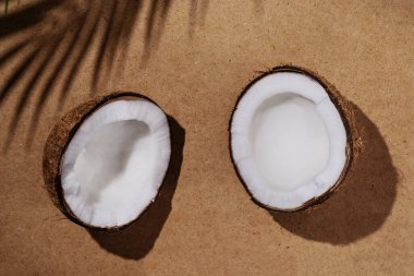 Hindistan cevizi ve palmiye yaprağı gölgeli yaz tropik arka plan. Bej arka planda hindistan cevizi ve palmiye yaprağı kırılması. Yaz duvar kağıdı.