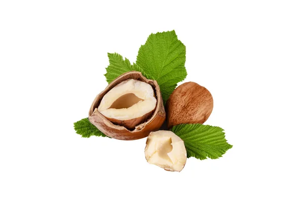 Lískové Ořechy Zelenými Listy Izolovanými Bílém Pozadí Lískový Ořech Vcelku — Stock fotografie