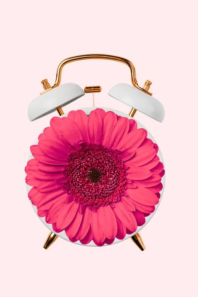 Spring time change concept with alarm clock and gerbera flower. Summer time change. Creative idea for spring time change.