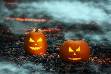 Cadılar Bayramı Jack o 'Lantern balkabağı korkunç bir ormanda geceleyin. Cadılar bayramı geçmişi. Gizemli ormanlık alanda Cadılar Bayramı kabağı.