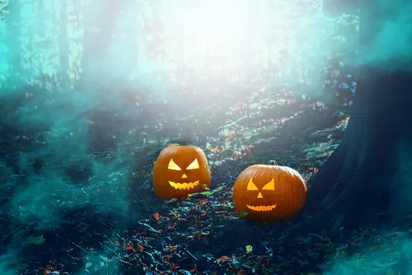 Cadılar Bayramı Jack Lantern Balkabağı Korkunç Bir Ormanda Geceleyin Cadılar — Stok fotoğraf