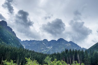 Dramatik bulut manzarasında dağ sırası. Rocky Dağları ve ormanlık manzaralı duvar kağıdı.