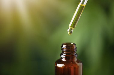 Kenevir yaprağının arka planında kenevir yağı. CBD yağ özütü. Tıbbi kenevir sativa özütü. Biyomedikal ve bitkisel ilaçlar..