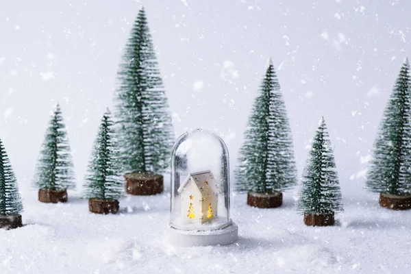 Christmas tree and snow globe with miniature house, Christmas background. Christmas greeting card.