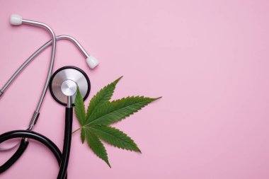 Tıbbi kenevir yaprağı yanında, steteskop da pembe arka planda. Kenevir alternatif tıp konsepti. 
