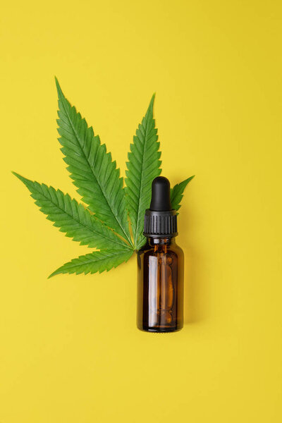 Cannabis oil and hemp leaf on yellow background, flat lay. Hemp CBD oil in a bottle. Herbal cannabis face serum for skin care.