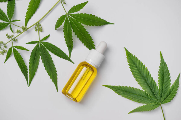 Cannabis oil and hemp leaf on white background, flat lay. Hemp CBD oil  for skin care.