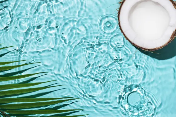 Summer background with coconuts on water background with water splashes. Creative summer background for design. Coconut cosmetics.