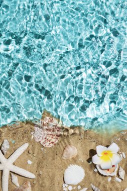 Deniz suyu, kum ve deniz kabukları. Yaz plajı. Yaz arkaplanı.