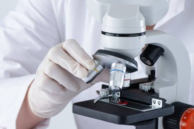Bir insan kan incelemek için tıbbi laboratuvarda mikroskop kullanıyor. DNA kan testi.