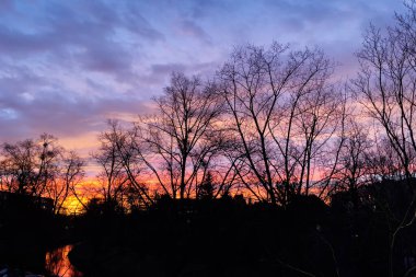 Sabahın erken saatlerinde arka planda ağaçların silueti. Mor gündoğumu duvar kağıdı. Sonbahar gündoğumu ve turuncu güneş ışığı sabah nehirde yansıyor..