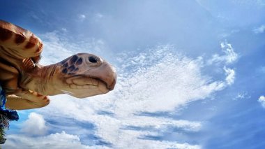 Kaplumbağa Başlığını Metin için Boşluğu Kopyala ile bulutlu mavi gökyüzü arkaplanına yaklaştır