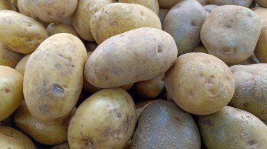 Ziraatten yeni toplanmış taze çiğ patatesleri kapatın.