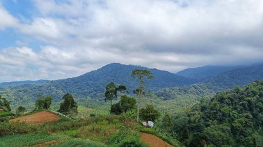Yeşil doğa ve mavi gökyüzü ile manzara dağ manzarası