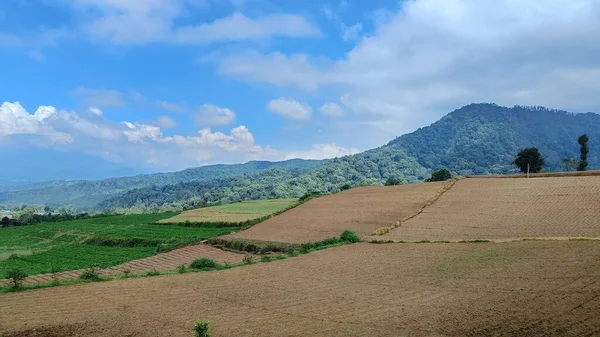Vista Terreni Fertili Piantagioni Sotto Piedi Della Montagna Con Cielo — Foto Stock