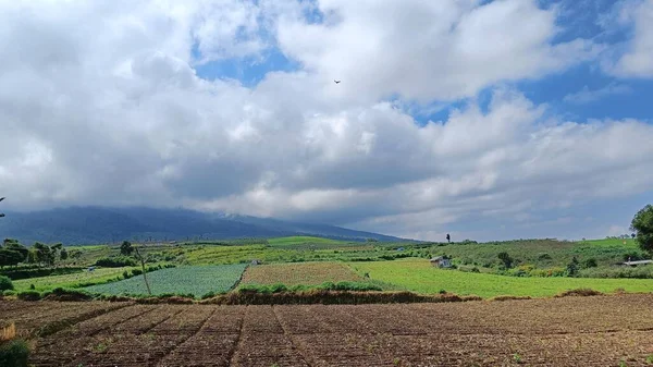 Vista Terreni Fertili Piantagioni Sotto Piedi Della Montagna Con Cielo — Foto Stock