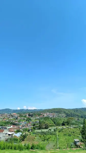 stock image view of green plantation with mountain background and blue sky, copy space for story