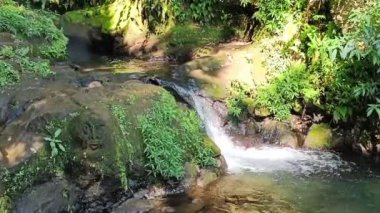 Ormanın ortasındaki doğal bir kaynaktan taze su akışı.