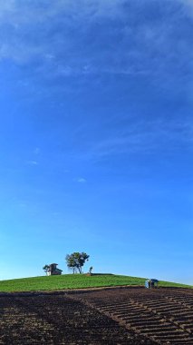 Dağın eteğindeki sebze tarlaları panoramik, hikaye için alanı kopyala