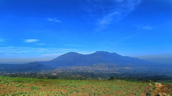 Vista Terreni Fertili Piantagioni Con Sfondo Cielo Montagna Blu — Foto Stock