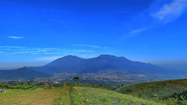 Scenario Terreni Fertili Piantagioni Sotto Piedi Della Montagna Con Cielo — Foto Stock