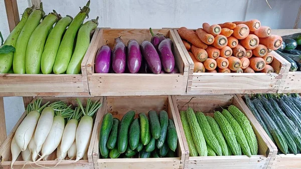 在现代市场上摆放在木箱内的各种新鲜蔬菜 — 图库照片