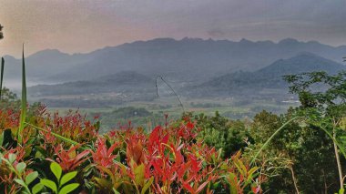 Atmosfer bulutluyken doğal yeşil ormanları olan dağlar ve tepelerin manzarası