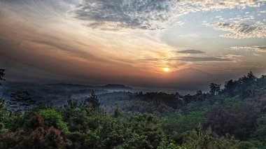 Doğal yeşil orman atmosferli gündoğumu manzarası