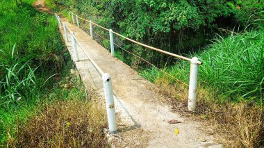 Yeşil bir ormanın ortasında köprü