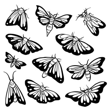 El çizimi kelebek seti. Vintage kelebekler eskiz, güveler mürekkep çizimleri açık kanatlı.