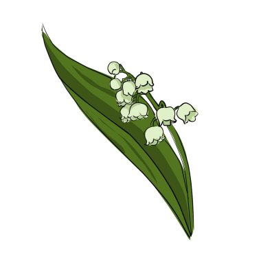 Vadinin zambakları büyük yeşil yapraklar ve küçük sarı yapraklar. Beyaz arkaplanda çizgi film çizimi