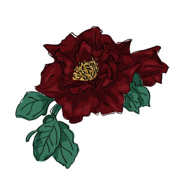 Koyu kırmızı çiçekler, sarı kalp ve yeşil yapraklar. Beyaz arkaplanda çizgi film çizimi