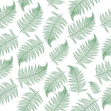 El yapımı eğrelti otu dalı yeşil doğrusal sanat. Beyaz arkaplanda kusursuz desen