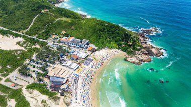 Kumlu Brezilya sahilleri ve yeşil denizli güneşli bir günde muhteşem doğa korunmuş.