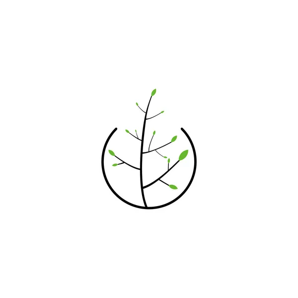 Carta Planta Galhos Símbolo Geométrico Vetor Logotipo Simples — Vetor de Stock