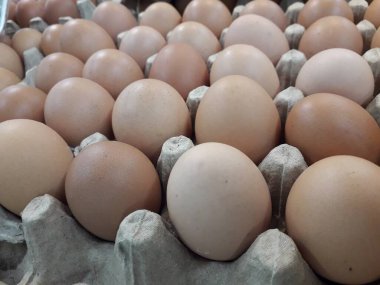 taze yumurta satışı bir pazar için arka plan