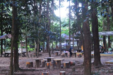 Hutan Pinus Mentaos Pine's Forest in The Middle City Banjarbaru with Clear Sky. Pine Forest Park Indonesia, Blue Sky, Aesthetic Photo, Aesthetic Forest