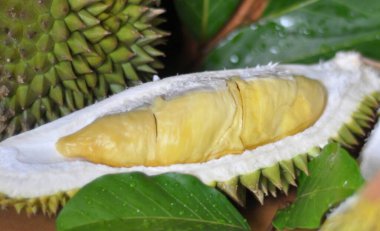 Ahşap masada servis edilen meyve dilimlenmiş durianlar.