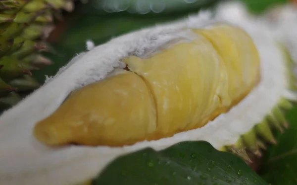 Durian Interi Tagliati Fette Con Frutta Servita Sul Tavolo Legno — Foto Stock