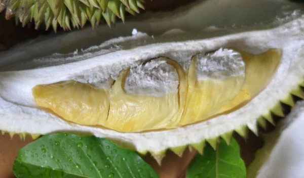 Hele Gesneden Durians Met Fruit Geserveerd Houten Tafel — Stockfoto