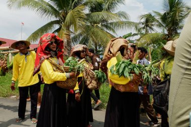 Banjarmasin, Endonezya - 20 Kasım 2023: Mekarsari, Barito Kuala 'da ananas festivali. Egzotik tropikal meyve. Endonezyalılar buna nanas diyor.