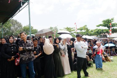 Banjarmasin, Endonezya - 20 Kasım 2023: Mekarsari, Barito Kuala 'da ananas festivali. Egzotik tropikal meyve. Endonezyalılar buna nanas diyor.