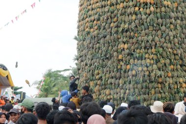 Banjarmasin, Endonezya - 20 Kasım 2023: Mekarsari, Barito Kuala 'da ananas festivali. Egzotik tropikal meyve. Endonezyalılar buna nanas diyor.