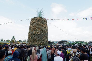 Banjarmasin, Endonezya - 20 Kasım 2023: Mekarsari, Barito Kuala 'da ananas festivali. Egzotik tropikal meyve. Endonezyalılar buna nanas diyor.