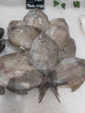 Süpermarkette buzda taze Altın Pomfret. Deniz ürünleri bölümünde tam balık satılıyor. Yakın çekim; seçici odaklanma. Donmuş buz yatağından bulutlu gözler.