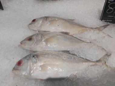 Süpermarkette dondurulmuş taze pompano. Deniz ürünleri bölümünde tam balık satılıyor. Yakın çekim; seçici odaklanma. Donmuş buz yatağından bulutlu gözler.